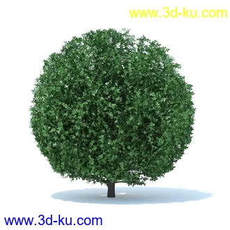 树篱,篱笆,园林艺术,造型篱笆,球形,拱形,长方形,三角形,心形,动物形态等景观造型植物模型36个的图片