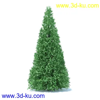 树篱,篱笆,园林艺术,造型篱笆,球形,拱形,长方形,三角形,心形,动物形态等景观造型植物模型36个的图片