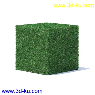 树篱,篱笆,园林艺术,造型篱笆,球形,拱形,长方形,三角形,心形,动物形态等景观造型植物模型36个的图片