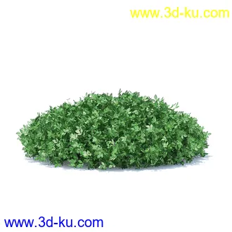 树篱,篱笆,园林艺术,造型篱笆,球形,拱形,长方形,三角形,心形,动物形态等景观造型植物模型36个的图片