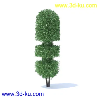 树篱,篱笆,园林艺术,造型篱笆,球形,拱形,长方形,三角形,心形,动物形态等景观造型植物模型36个的图片