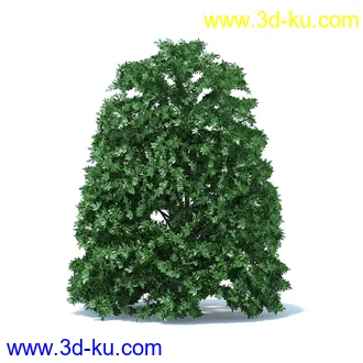 树篱,篱笆,园林艺术,造型篱笆,球形,拱形,长方形,三角形,心形,动物形态等景观造型植物模型36个的图片