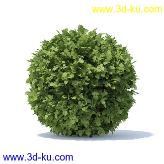 树篱,篱笆,园林艺术,造型篱笆,球形,拱形,长方形,三角形,心形,动物形态等景观造型植物模型36个的图片