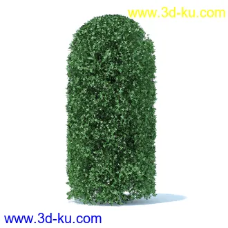 树篱,篱笆,园林艺术,造型篱笆,球形,拱形,长方形,三角形,心形,动物形态等景观造型植物模型36个的图片24