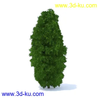 树篱,篱笆,园林艺术,造型篱笆,球形,拱形,长方形,三角形,心形,动物形态等景观造型植物模型36个的图片29