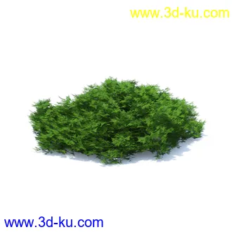 树篱,篱笆,园林艺术,造型篱笆,球形,拱形,长方形,三角形,心形,动物形态等景观造型植物模型36个的图片30