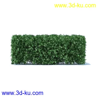 树篱,篱笆,园林艺术,造型篱笆,球形,拱形,长方形,三角形,心形,动物形态等景观造型植物模型36个的图片31