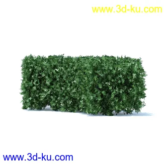 树篱,篱笆,园林艺术,造型篱笆,球形,拱形,长方形,三角形,心形,动物形态等景观造型植物模型36个的图片32