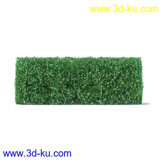 树篱,篱笆,园林艺术,造型篱笆,球形,拱形,长方形,三角形,心形,动物形态等景观造型植物模型36个的图片33