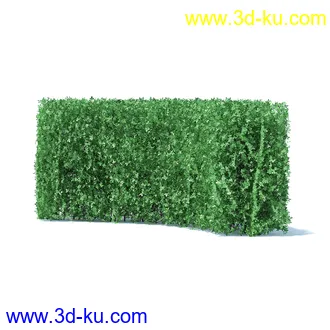 树篱,篱笆,园林艺术,造型篱笆,球形,拱形,长方形,三角形,心形,动物形态等景观造型植物模型36个的图片34