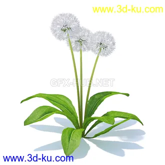 花草模型,草皮,花圃,青草,杂草,蒲苇,大滨菊,菊花,蒲公英,七筋姑,蓍,紫薇,藿香蓟,虾脊兰,冬红等模型51个的图片