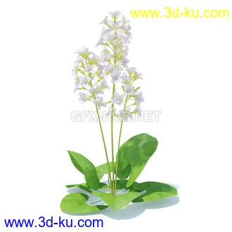 花草模型,草皮,花圃,青草,杂草,蒲苇,大滨菊,菊花,蒲公英,七筋姑,蓍,紫薇,藿香蓟,虾脊兰,冬红等模型51个的图片