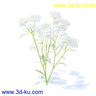 花草模型,草皮,花圃,青草,杂草,蒲苇,大滨菊,菊花,蒲公英,七筋姑,蓍,紫薇,藿香蓟,虾脊兰,冬红等模型51个的图片