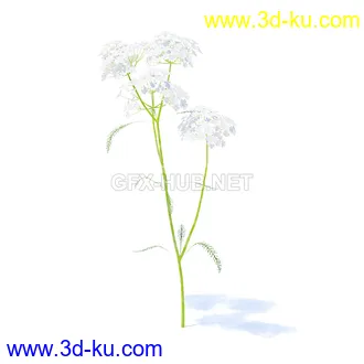 花草模型,草皮,花圃,青草,杂草,蒲苇,大滨菊,菊花,蒲公英,七筋姑,蓍,紫薇,藿香蓟,虾脊兰,冬红等模型51个的图片