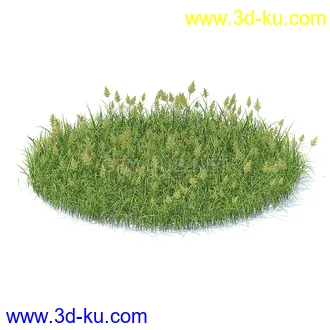 花草模型,草皮,花圃,青草,杂草,蒲苇,大滨菊,菊花,蒲公英,七筋姑,蓍,紫薇,藿香蓟,虾脊兰,冬红等模型51个的图片