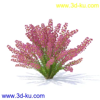 花草模型,草皮,花圃,青草,杂草,蒲苇,大滨菊,菊花,蒲公英,七筋姑,蓍,紫薇,藿香蓟,虾脊兰,冬红等模型51个的图片