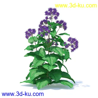 花草模型,草皮,花圃,青草,杂草,蒲苇,大滨菊,菊花,蒲公英,七筋姑,蓍,紫薇,藿香蓟,虾脊兰,冬红等模型51个的图片