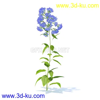 花草模型,草皮,花圃,青草,杂草,蒲苇,大滨菊,菊花,蒲公英,七筋姑,蓍,紫薇,藿香蓟,虾脊兰,冬红等模型51个的图片