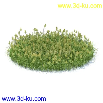 花草模型,草皮,花圃,青草,杂草,蒲苇,大滨菊,菊花,蒲公英,七筋姑,蓍,紫薇,藿香蓟,虾脊兰,冬红等模型51个的图片