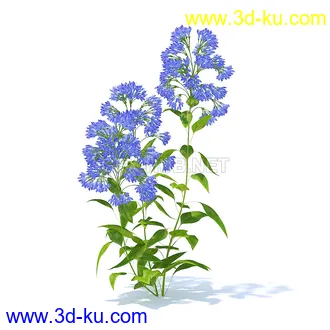 花草模型,草皮,花圃,青草,杂草,蒲苇,大滨菊,菊花,蒲公英,七筋姑,蓍,紫薇,藿香蓟,虾脊兰,冬红等模型51个的图片