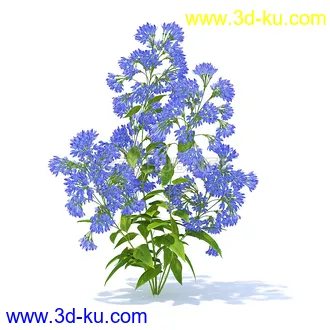 花草模型,草皮,花圃,青草,杂草,蒲苇,大滨菊,菊花,蒲公英,七筋姑,蓍,紫薇,藿香蓟,虾脊兰,冬红等模型51个的图片