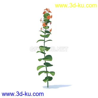 花草模型,草皮,花圃,青草,杂草,蒲苇,大滨菊,菊花,蒲公英,七筋姑,蓍,紫薇,藿香蓟,虾脊兰,冬红等模型51个的图片