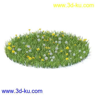 花草模型,草皮,花圃,青草,杂草,蒲苇,大滨菊,菊花,蒲公英,七筋姑,蓍,紫薇,藿香蓟,虾脊兰,冬红等模型51个的图片