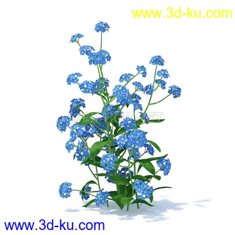 花草模型,草皮,花圃,青草,杂草,蒲苇,大滨菊,菊花,蒲公英,七筋姑,蓍,紫薇,藿香蓟,虾脊兰,冬红等模型51个的图片