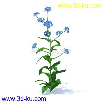 花草模型,草皮,花圃,青草,杂草,蒲苇,大滨菊,菊花,蒲公英,七筋姑,蓍,紫薇,藿香蓟,虾脊兰,冬红等模型51个的图片