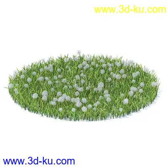 花草模型,草皮,花圃,青草,杂草,蒲苇,大滨菊,菊花,蒲公英,七筋姑,蓍,紫薇,藿香蓟,虾脊兰,冬红等模型51个的图片