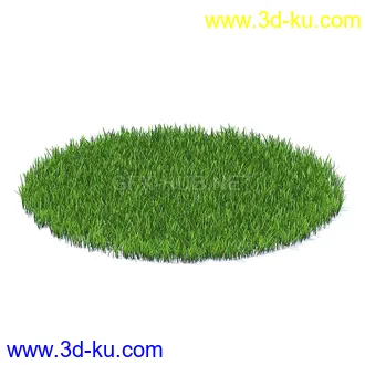 花草模型,草皮,花圃,青草,杂草,蒲苇,大滨菊,菊花,蒲公英,七筋姑,蓍,紫薇,藿香蓟,虾脊兰,冬红等模型51个的图片