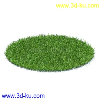 花草模型,草皮,花圃,青草,杂草,蒲苇,大滨菊,菊花,蒲公英,七筋姑,蓍,紫薇,藿香蓟,虾脊兰,冬红等模型51个45 花草模型,草皮,花圃,青草,杂草,蒲苇,大滨菊,菊花,蒲公英,七筋姑,蓍,紫薇,藿香蓟,虾脊兰,冬红等模型51个的图片45