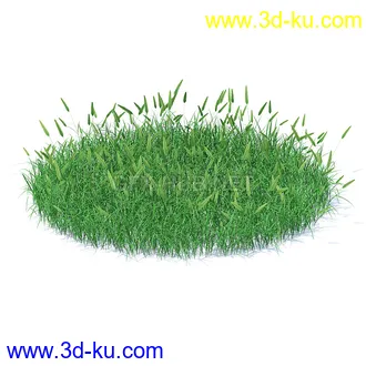 花草模型,草皮,花圃,青草,杂草,蒲苇,大滨菊,菊花,蒲公英,七筋姑,蓍,紫薇,藿香蓟,虾脊兰,冬红等模型51个46 花草模型,草皮,花圃,青草,杂草,蒲苇,大滨菊,菊花,蒲公英,七筋姑,蓍,紫薇,藿香蓟,虾脊兰,冬红等模型51个的图片46