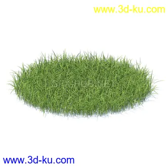 花草模型,草皮,花圃,青草,杂草,蒲苇,大滨菊,菊花,蒲公英,七筋姑,蓍,紫薇,藿香蓟,虾脊兰,冬红等模型51个47 花草模型,草皮,花圃,青草,杂草,蒲苇,大滨菊,菊花,蒲公英,七筋姑,蓍,紫薇,藿香蓟,虾脊兰,冬红等模型51个的图片47