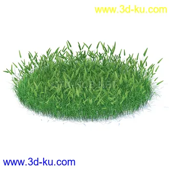 花草模型,草皮,花圃,青草,杂草,蒲苇,大滨菊,菊花,蒲公英,七筋姑,蓍,紫薇,藿香蓟,虾脊兰,冬红等模型51个48 花草模型,草皮,花圃,青草,杂草,蒲苇,大滨菊,菊花,蒲公英,七筋姑,蓍,紫薇,藿香蓟,虾脊兰,冬红等模型51个的图片48