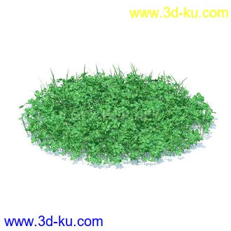 花草模型,草皮,花圃,青草,杂草,蒲苇,大滨菊,菊花,蒲公英,七筋姑,蓍,紫薇,藿香蓟,虾脊兰,冬红等模型51个50 花草模型,草皮,花圃,青草,杂草,蒲苇,大滨菊,菊花,蒲公英,七筋姑,蓍,紫薇,藿香蓟,虾脊兰,冬红等模型51个的图片50