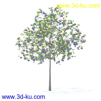 树木模型,植物模型,各种树模型共78个的图片