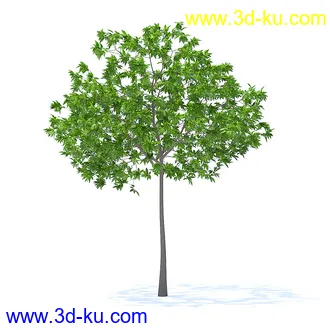 树木模型,植物模型,各种树模型共78个的图片