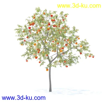 树木模型,植物模型,各种树模型共78个的图片