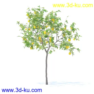 树木模型,植物模型,各种树模型共78个的图片