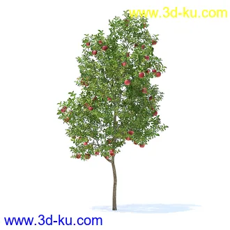 树木模型,植物模型,各种树模型共78个的图片