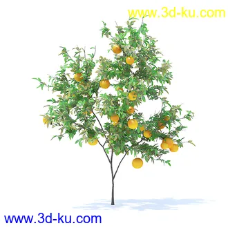 树木模型,植物模型,各种树模型共78个的图片