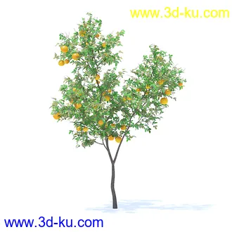 树木模型,植物模型,各种树模型共78个的图片71