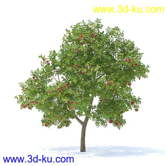 树木模型,植物模型,各种树模型共78个的图片76