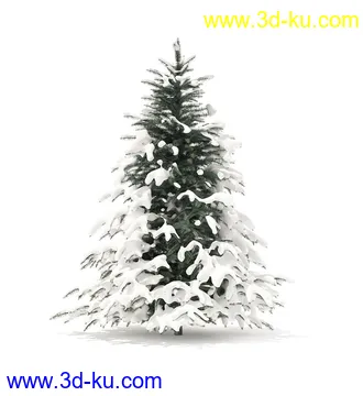 冬季针叶树模型合集,圣诞树,针叶树,松树,彬树,银杏树等模型52个的图片