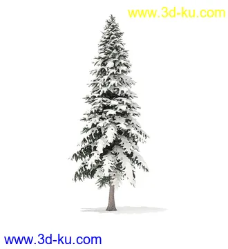 冬季针叶树模型合集,圣诞树,针叶树,松树,彬树,银杏树等模型52个的图片