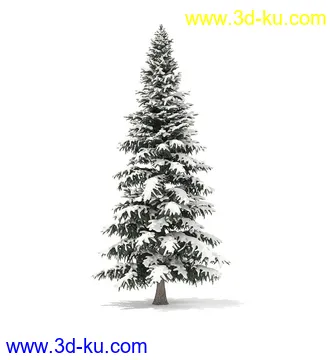冬季针叶树模型合集,圣诞树,针叶树,松树,彬树,银杏树等模型52个的图片