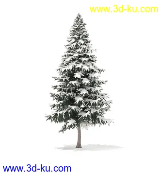 冬季针叶树模型合集,圣诞树,针叶树,松树,彬树,银杏树等模型52个的图片