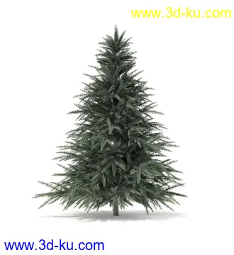 冬季针叶树模型合集,圣诞树,针叶树,松树,彬树,银杏树等模型52个的图片