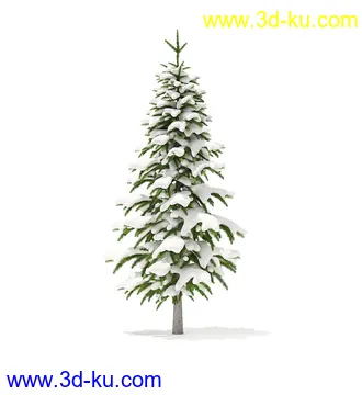冬季针叶树模型合集,圣诞树,针叶树,松树,彬树,银杏树等模型52个的图片